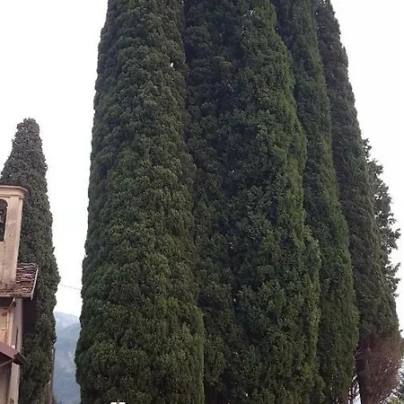 La Perla Del Centro Lago Di Como דירה Perledo
