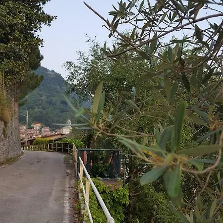 La Perla Del Centro Lago Di Como Appartamento Perledo